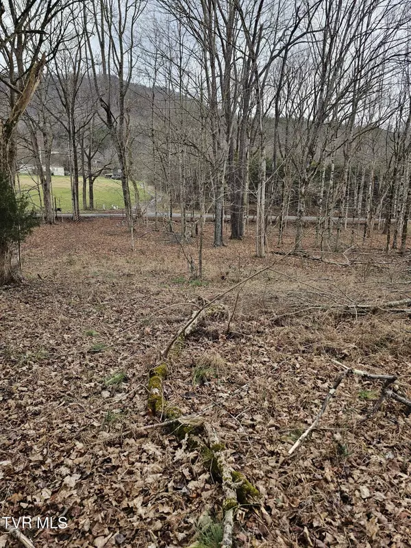 Dryden, VA 24243,4400 Old Woodway RD