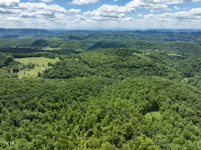 Tbd Manville RD, Gate City, VA 24251