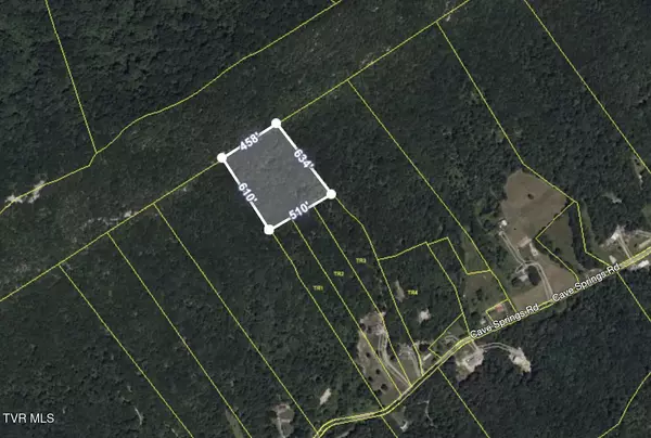 Rogersville, TN 37857,Tbd Cave Springs RD