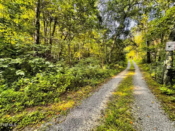 Greeneville, TN 37743,Tbd Tweed Springs Way RD