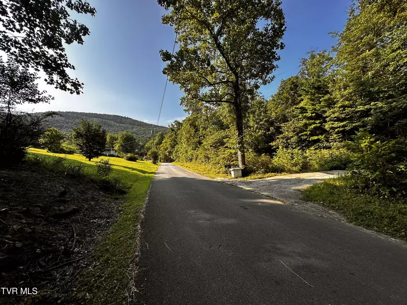 Tbd Tweed Springs Way RD, Greeneville, TN 37743