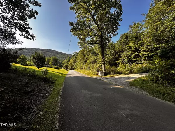 Greeneville, TN 37743,Tbd Tweed Springs Way RD