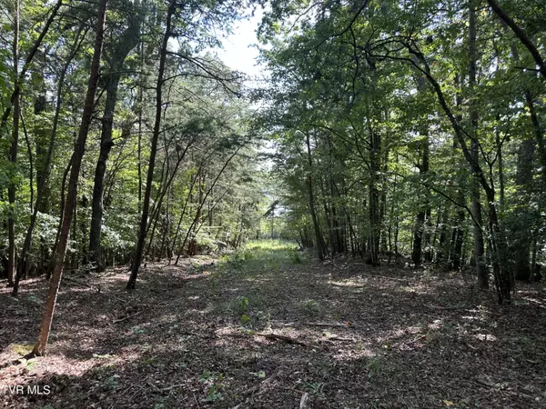 Lot 1239 Rustic DR, Baneberry, TN 37890