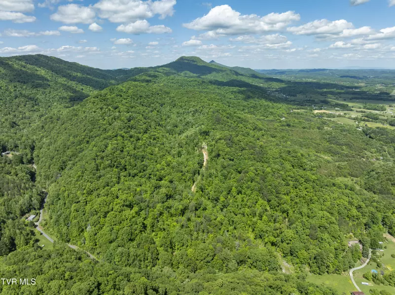 950 Caney Creek LN, Greeneville, TN 37745