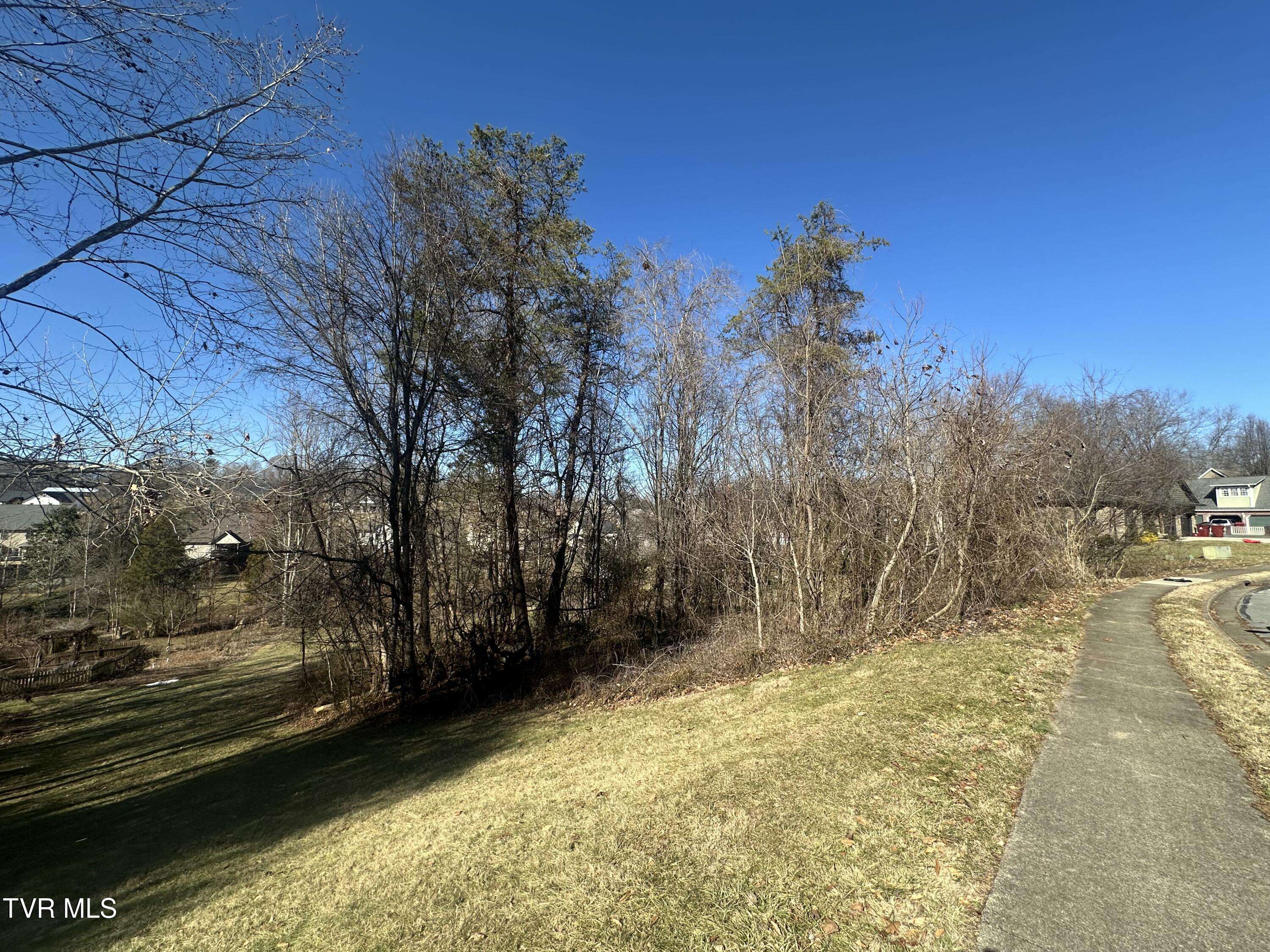 123 Vicksburg RD, Johnson City, TN 37604