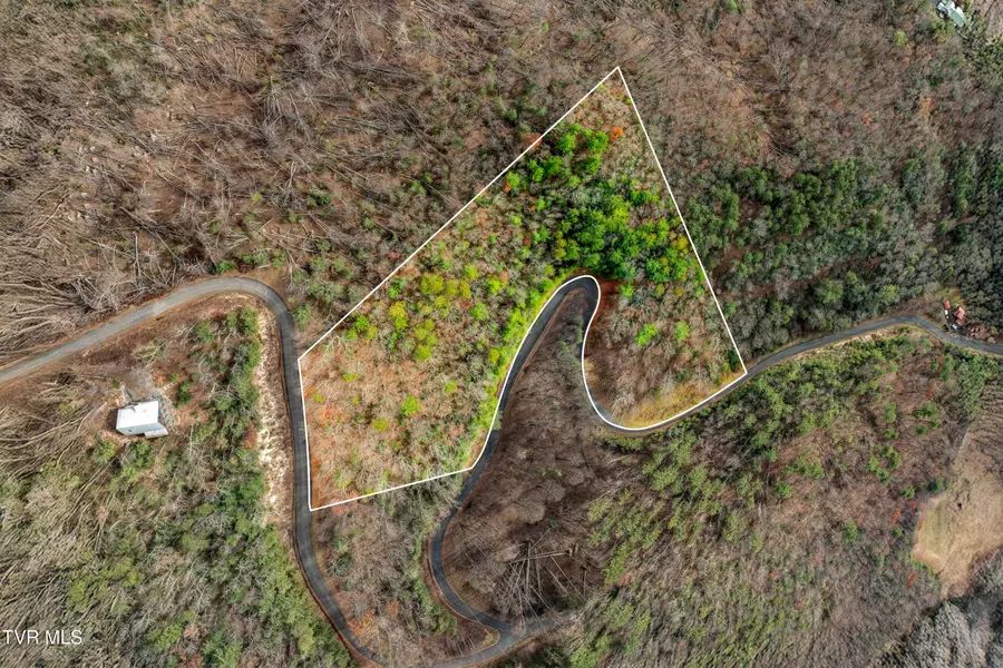 Tbd Callalantee DR, Mountain City, TN 37683