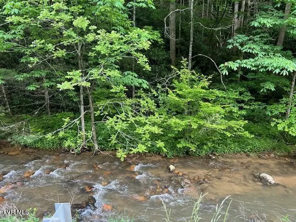0000 Forge Creek RD, Mountain City, TN 37683
