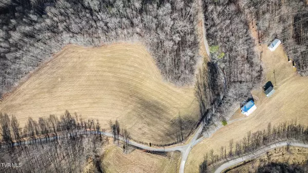 Hiltons, VA 24258,111 Hensley Hollow DR