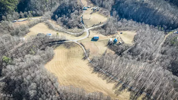 Hiltons, VA 24258,111 Hensley Hollow DR