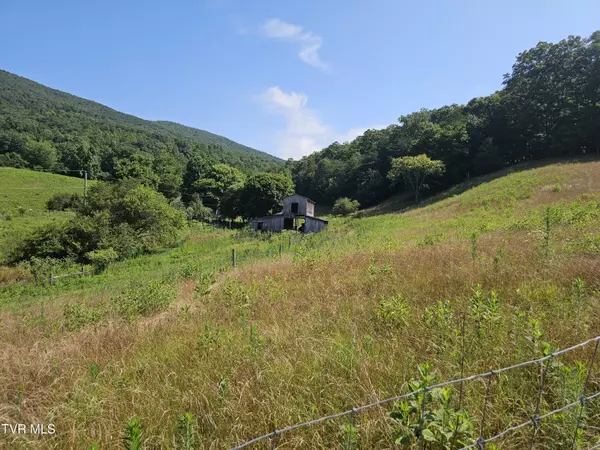 Hiltons, VA 24258,Tbd A P Carter HWY