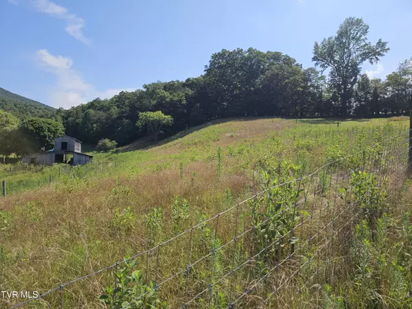 Hiltons, VA 24258,Tbd A P Carter HWY