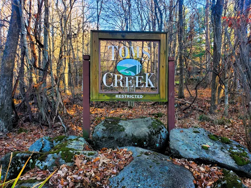 000 Toms Creek DR, Roan Mountain, TN 37687