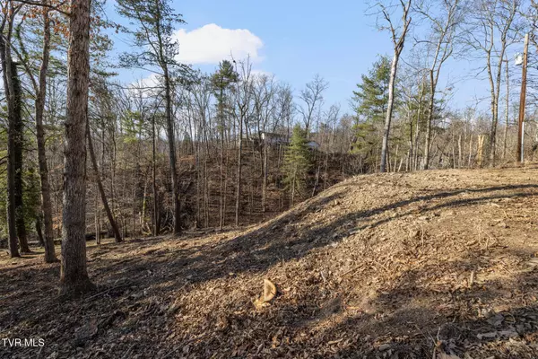 Bristol, TN 37620,146 Cloudland DR