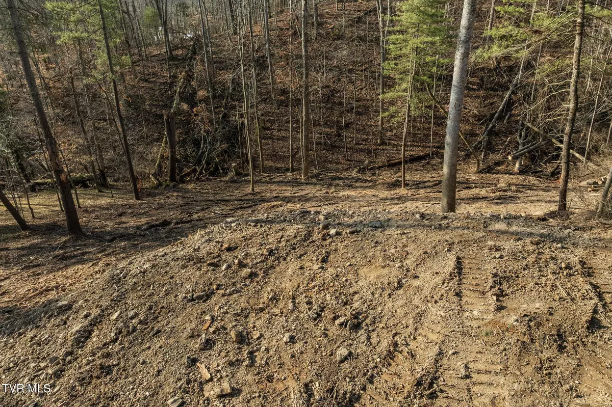 Bristol, TN 37620,146 Cloudland DR