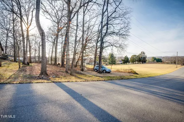 Jonesborough, TN 37659,Tbd Harmony Acres Dr E DR