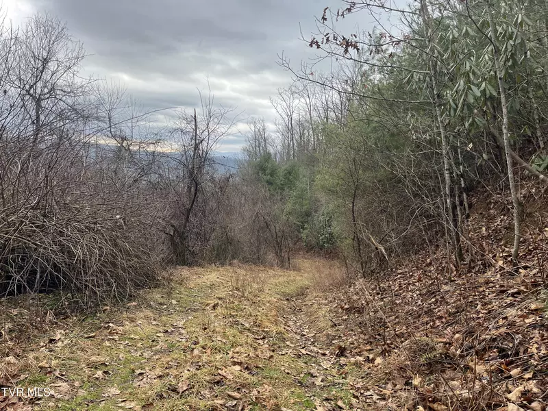 Tbd H Proffitt LN, Butler, TN 37640