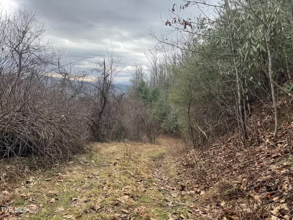 Butler, TN 37640,Tbd H Proffitt LN