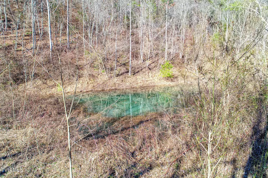 582 Jimmie Brooks RD, Sneedville, TN 37869