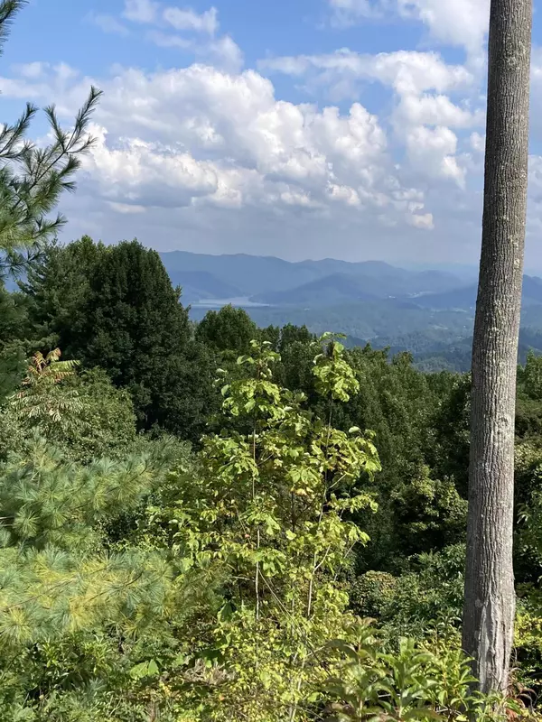 Butler, TN 37640,1209 Mays Ridge RD