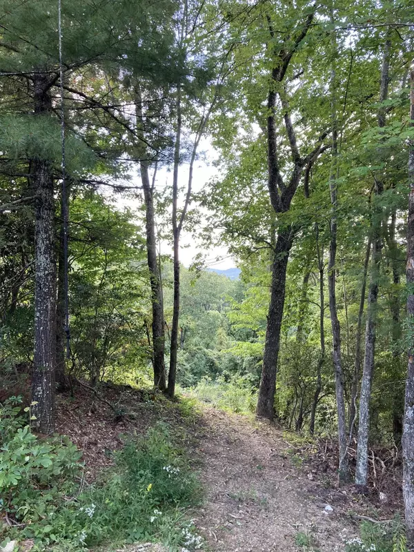 Butler, TN 37640,1209 Mays Ridge RD
