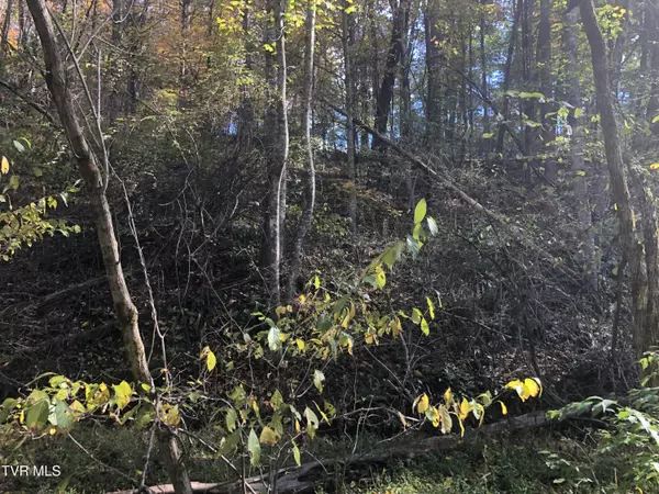 Bristol, VA 24202,0 Rich Valley (Lot 60) RD