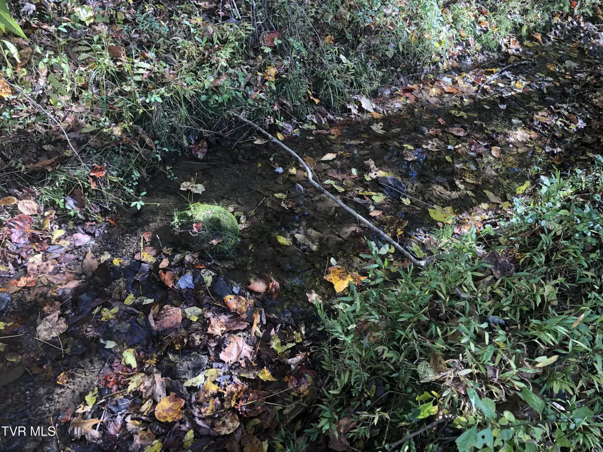 Bristol, VA 24202,0 Rich Valley (Lot 60) RD