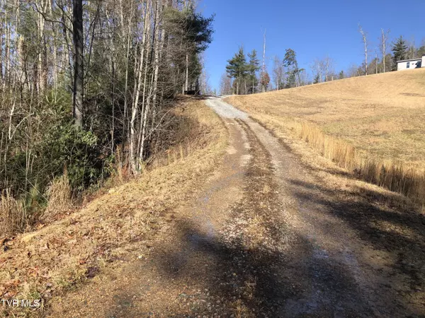 Tbd Rhea LN, Mountain City, TN 37683
