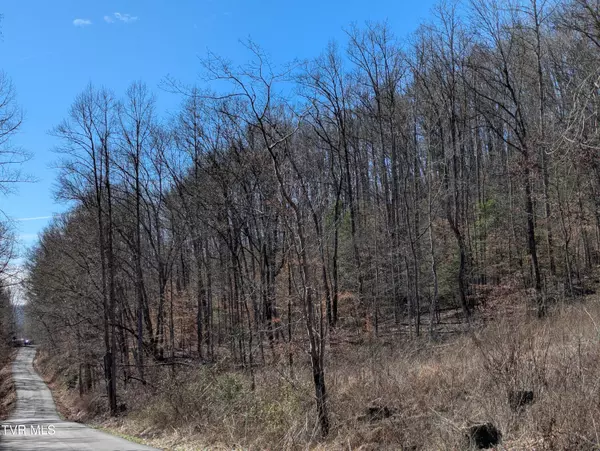 Duffield, VA 24244,Tbd Mabe Stanleytown RD