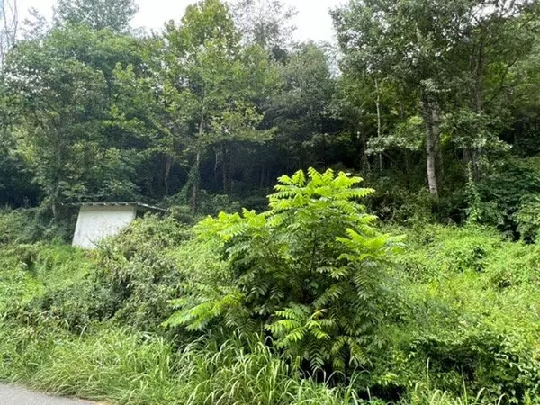 Duffield, VA 24244,1080 Fairview RD