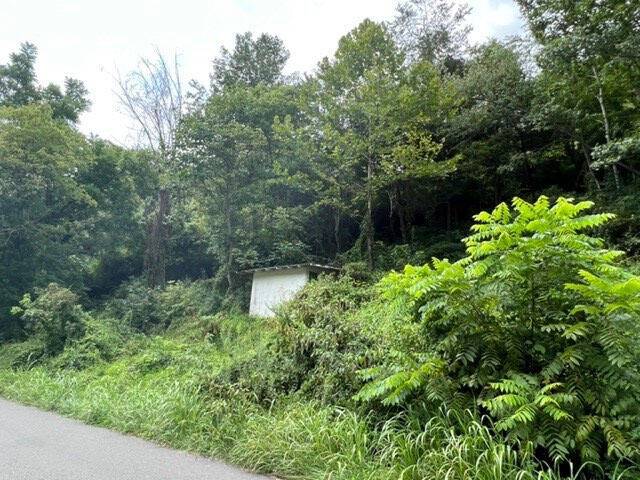 Duffield, VA 24244,1080 Fairview RD
