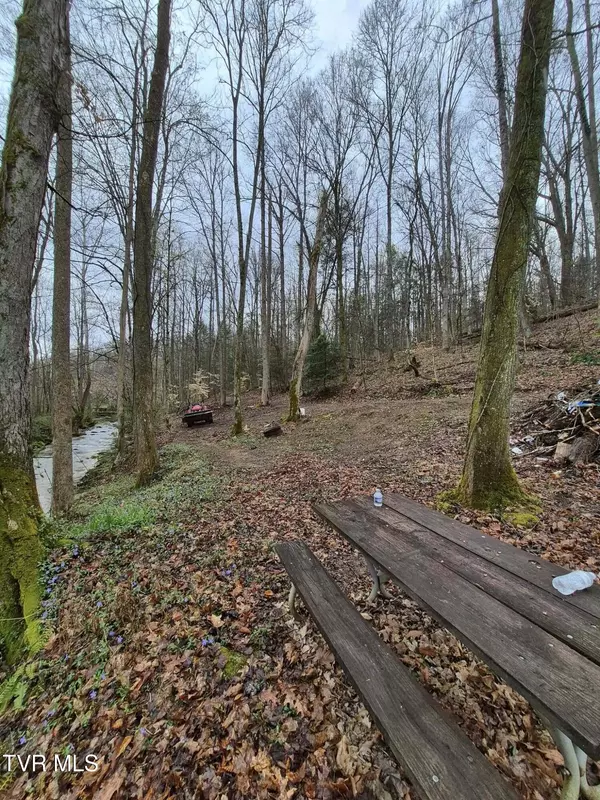 Blountville, TN 37617,4020 Hwy 11