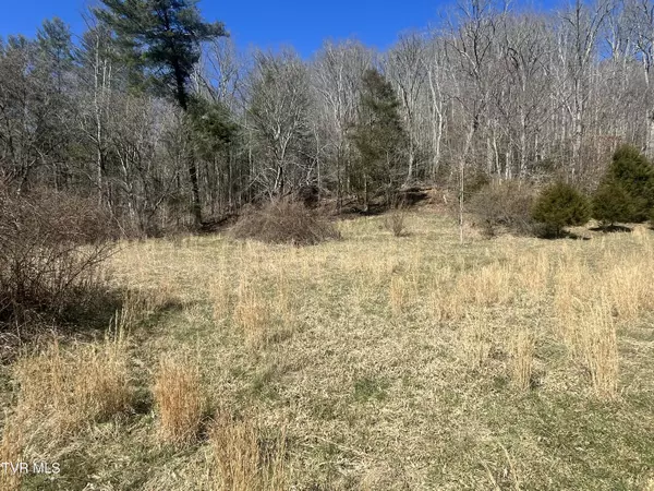 Dungannon, VA 24245,168 Osborne Ridge RD