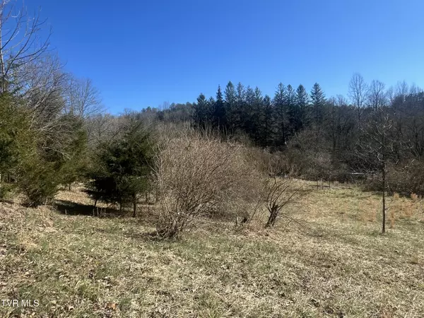Dungannon, VA 24245,168 Osborne Ridge RD