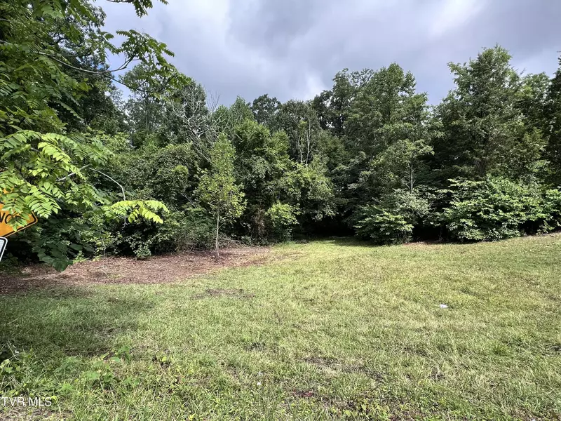 Lot 5 Clemon RD, Bulls Gap, TN 37711