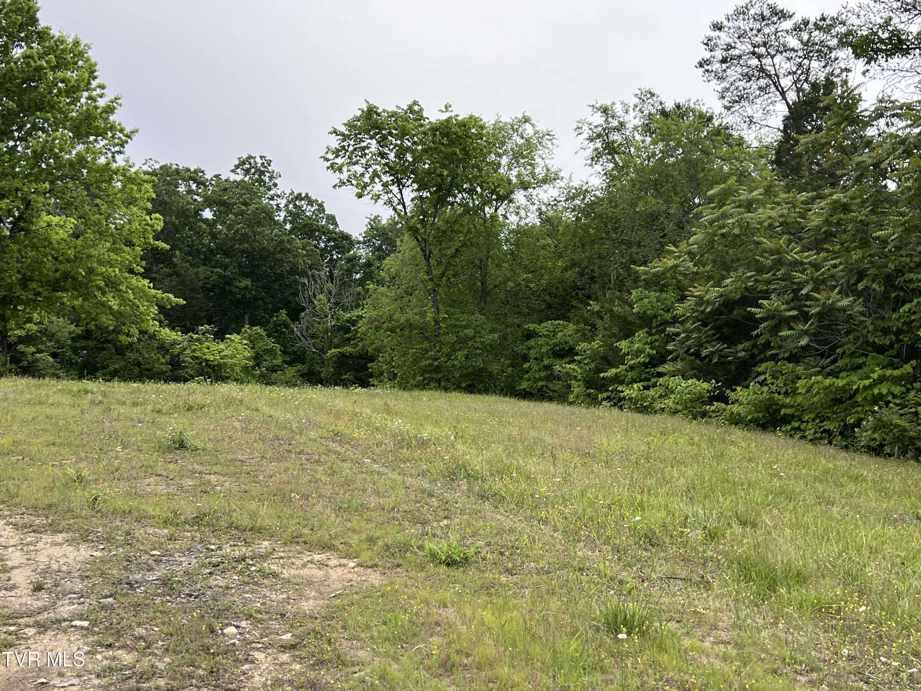 Bulls Gap, TN 37711,Lot 5 Clemon RD