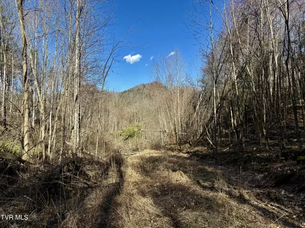 Mountain City, TN 37683,539/Ac Tbd Off Hwy 421