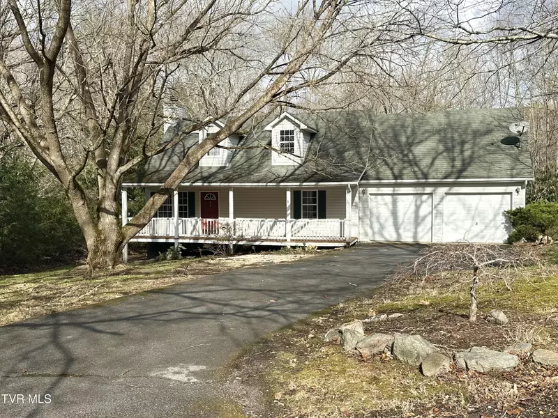 105 Beech LN, Roan Mountain, TN 37687