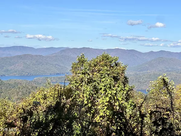 Butler, TN 37640,Lot 32 Vista RD