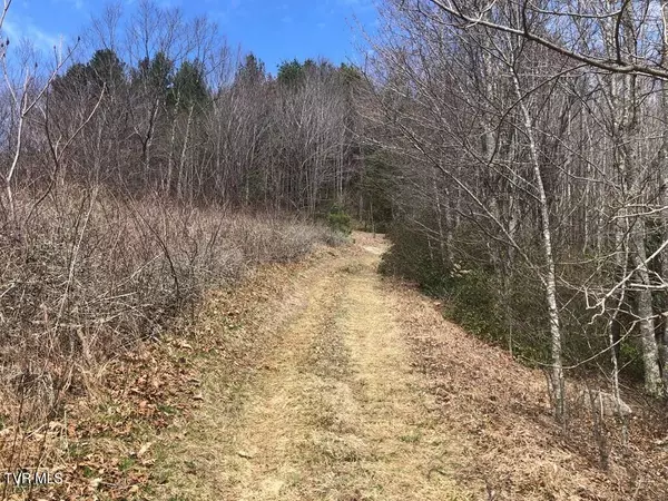 White Top, VA 24292,00 Helton Creek Lane LN