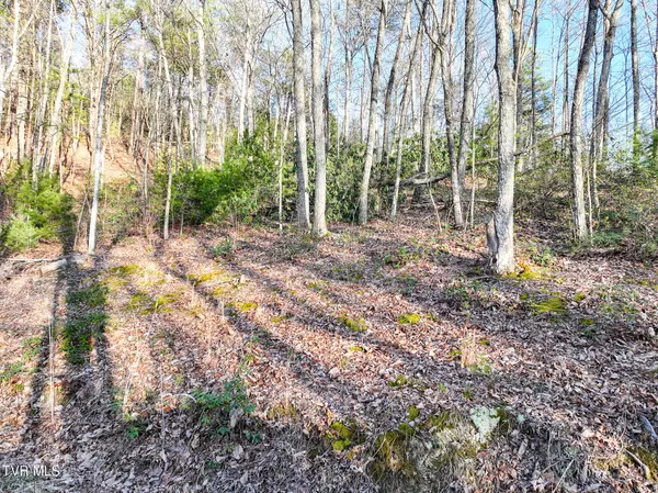 Sevierville, TN 37876,Tbd Black Oak Dr