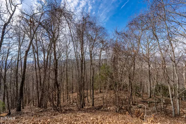 Mountain City, TN 37683,Tbd Iroquois RD