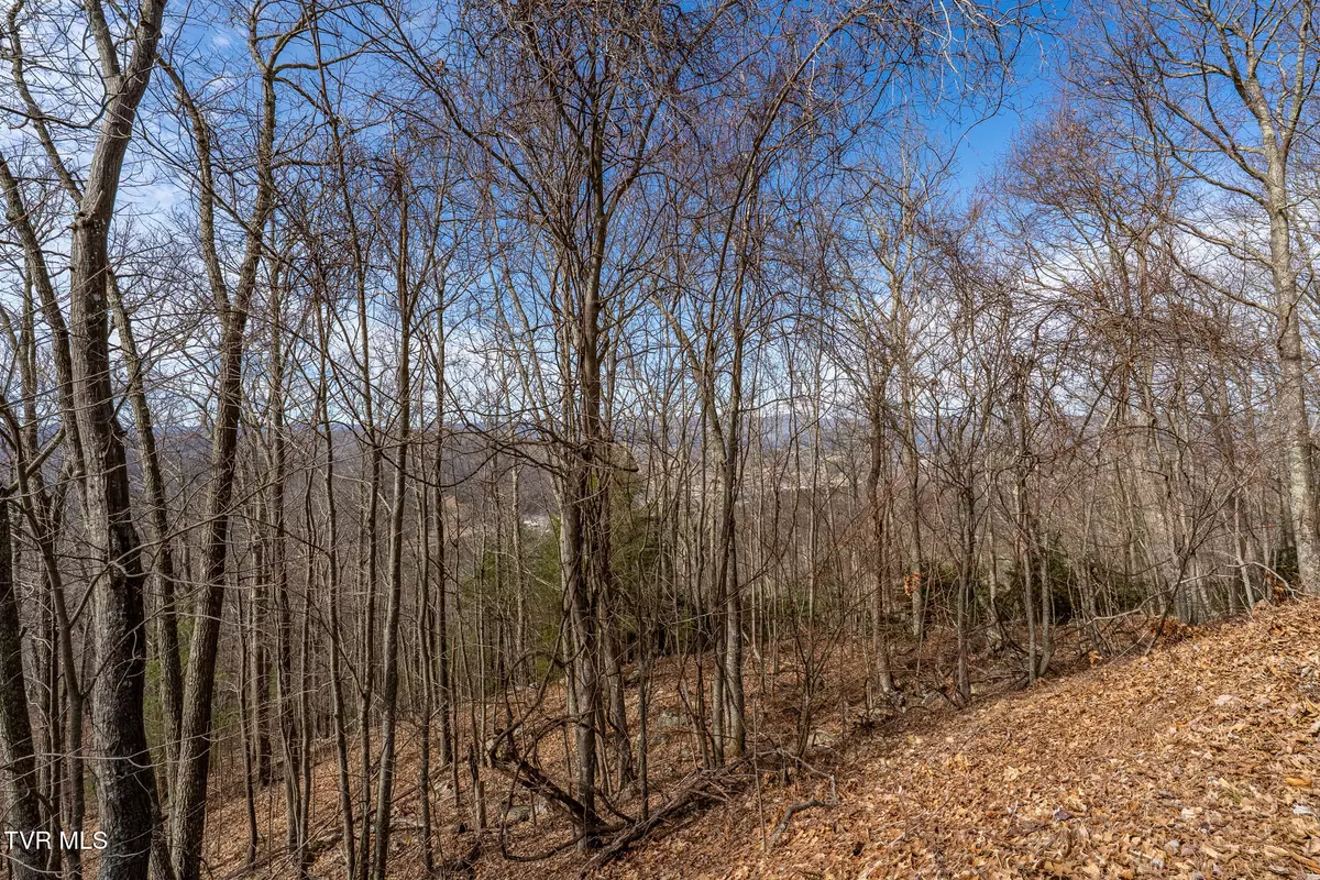 Mountain City, TN 37683,Tbd Iroquois RD