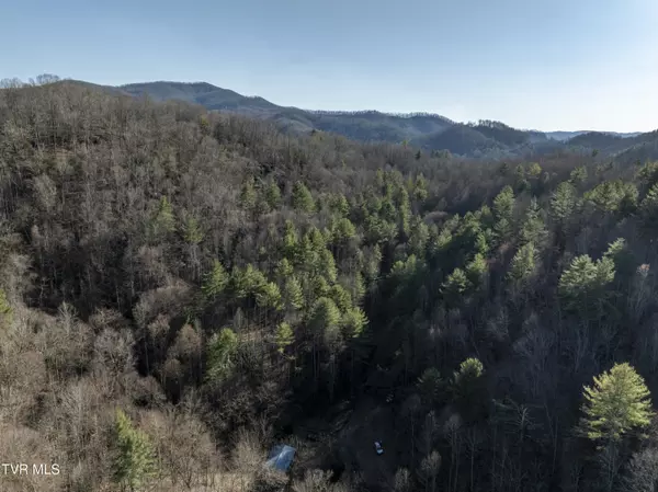 Butler, TN 37640,841 Green RD