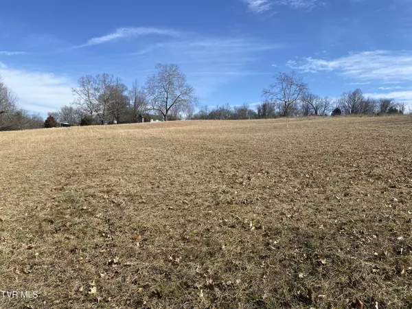 Bristol, VA 24202,0 Sinking Creek (Lot 1) RD