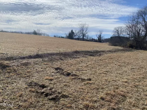 Bristol, VA 24202,0 Sinking Creek (Lot 1) RD