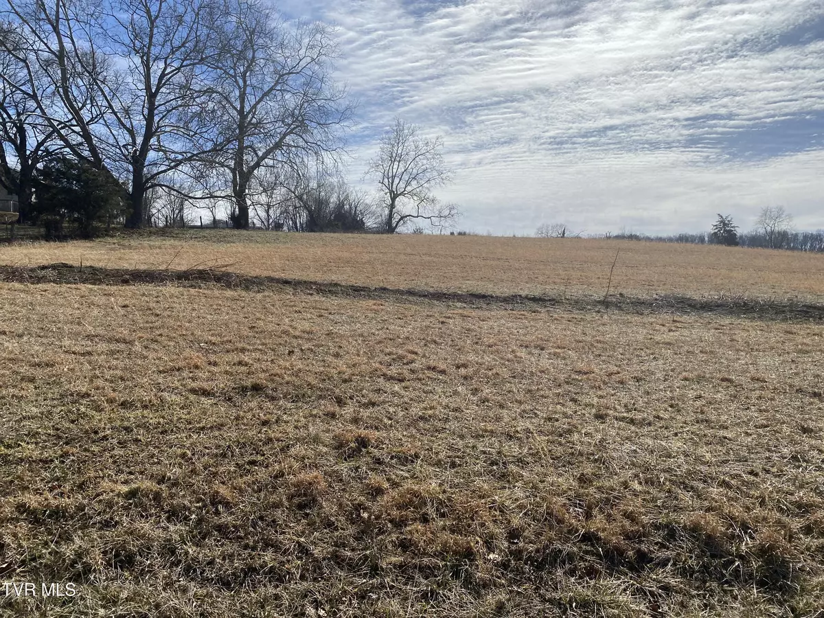 Bristol, VA 24202,0 Sinking Creek (Lot 1) RD