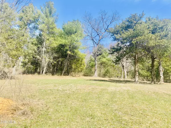 Butler, TN 37640,20 Vineyard Valley DR