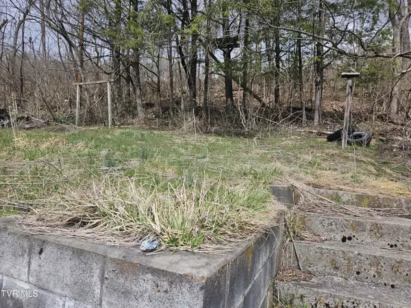 114 Meredith ST, Bluefield, VA 24605