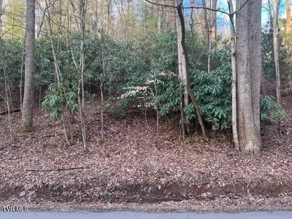 Unicoi, TN 37692,Tbd Poplar RD
