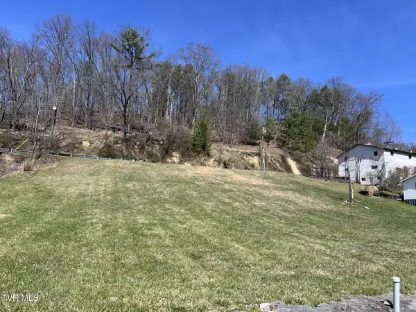 Clintwood, VA 24228,Tbd Chatham RD